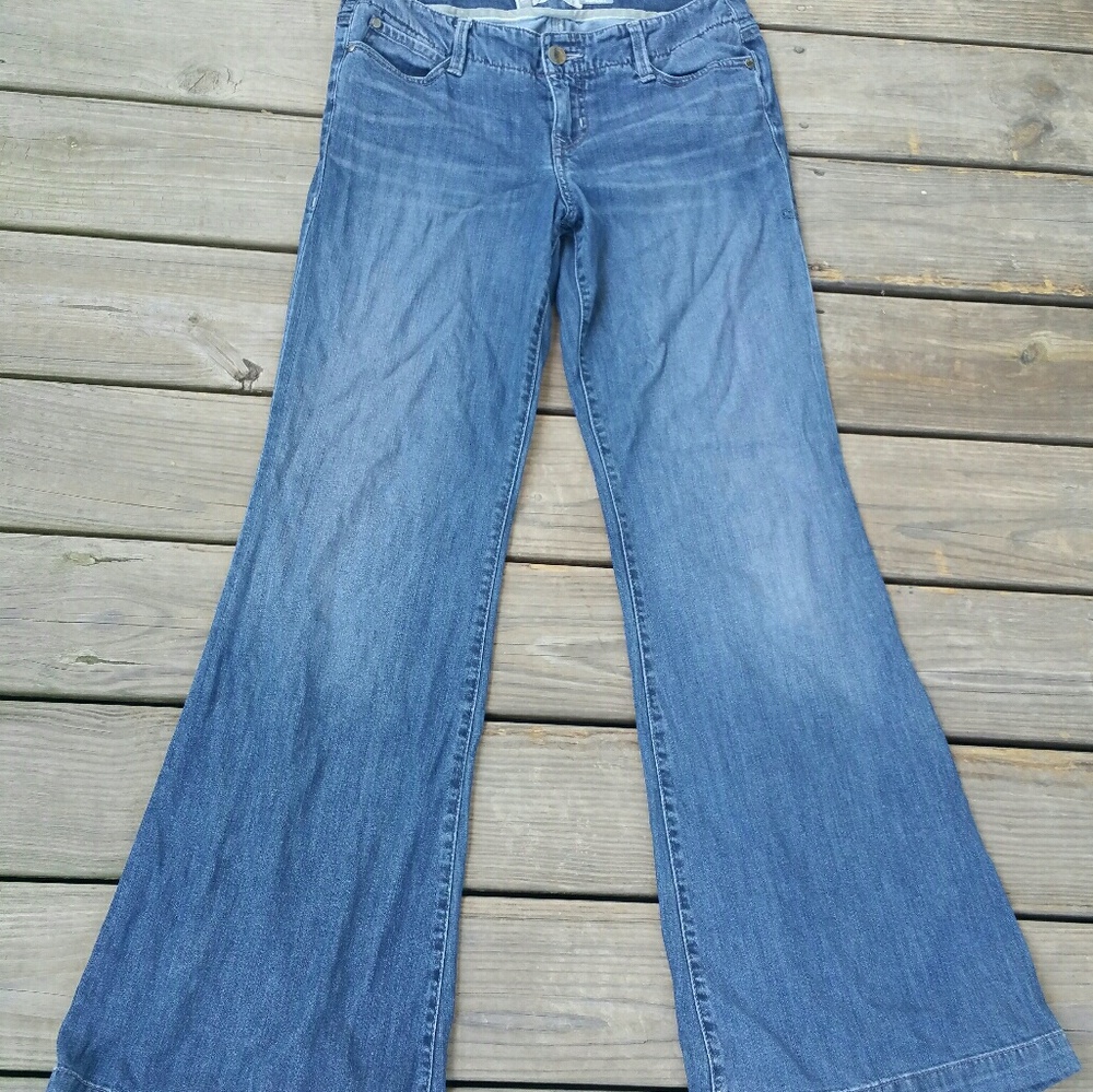 💙Anthropologie Level 98 wide leg jeans
